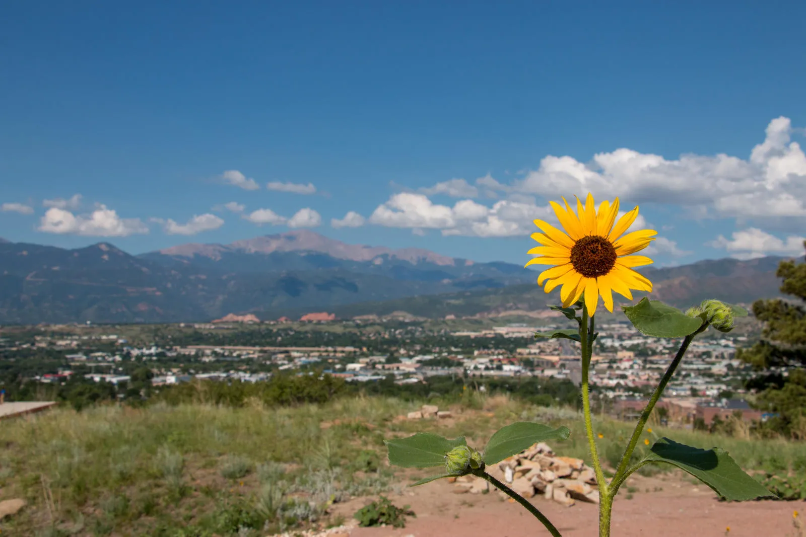 Picture of Pikes Peak 